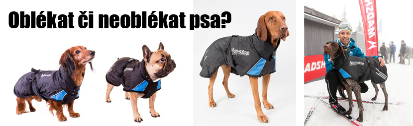 Nestyďte se obléct svého psa