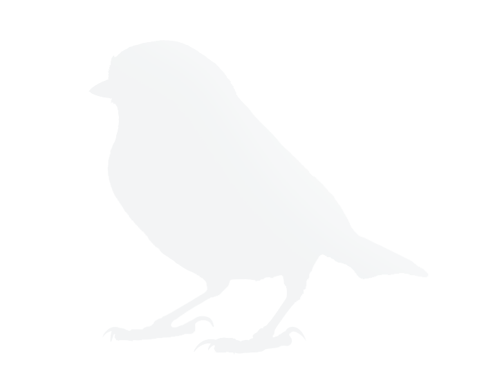 Ptáci